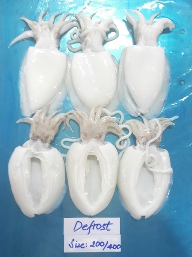 CUTTLEFISH