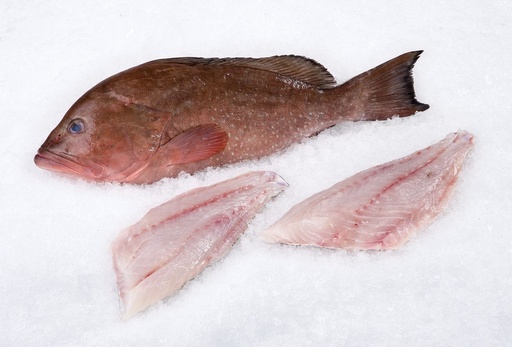 Grouper
