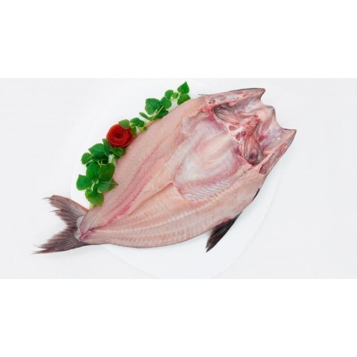 Pangasius Butterfly
