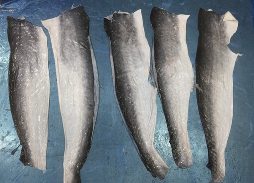 Pangasius By-product (Skin, Belly, Stomach, Chunk)