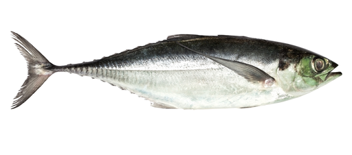 Torpedo scad