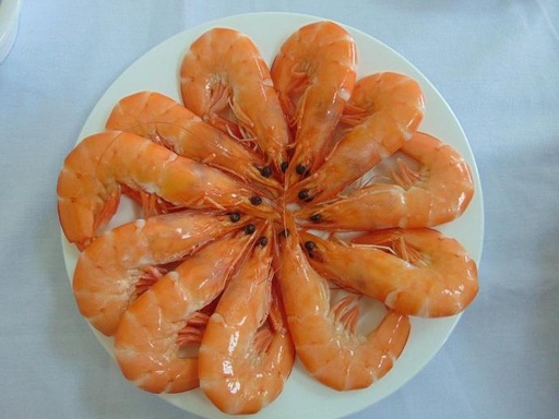 Vannamei Cooked HOSO
